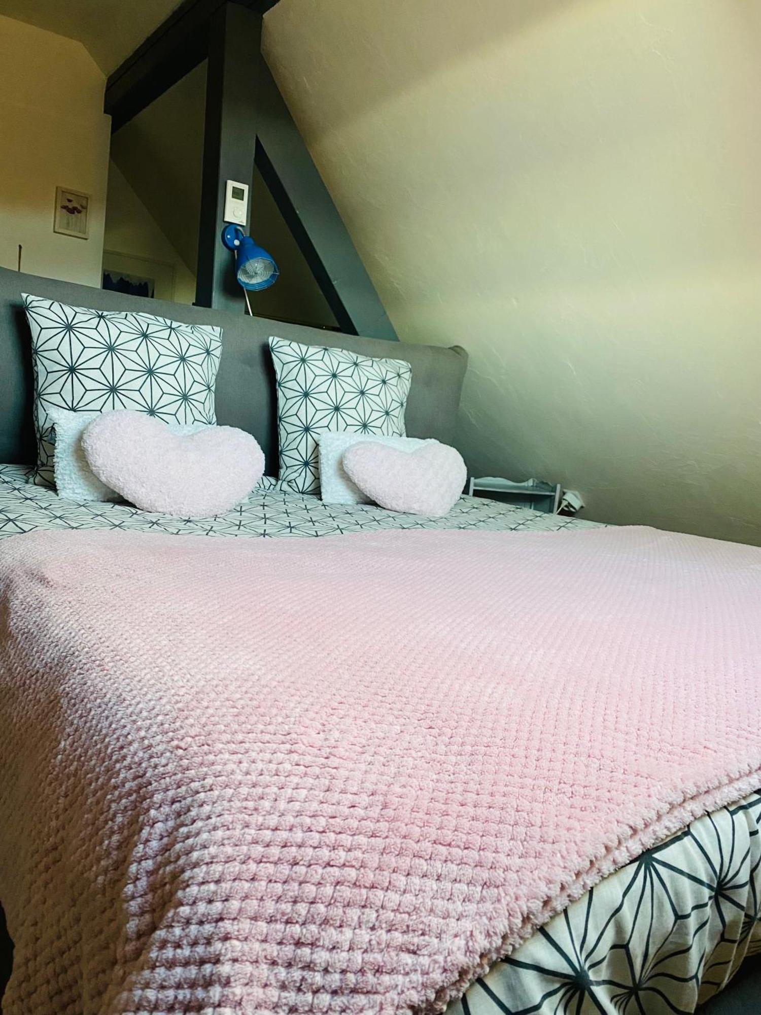 Les Appartements D'Estelle La Petite-Pierre Bagian luar foto