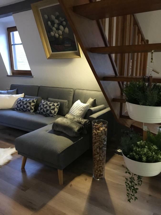 Les Appartements D'Estelle La Petite-Pierre Bagian luar foto